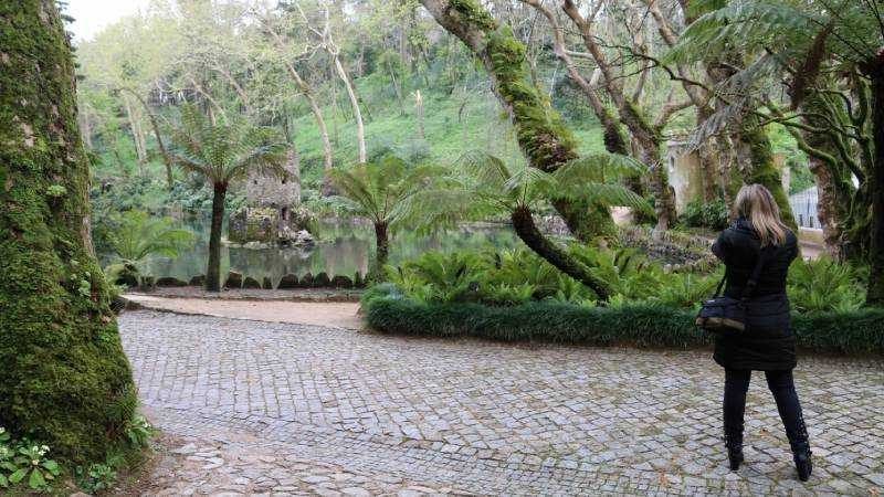 Natureza Urbana: Conheça o encantador Jardim Botânico de São Paulo